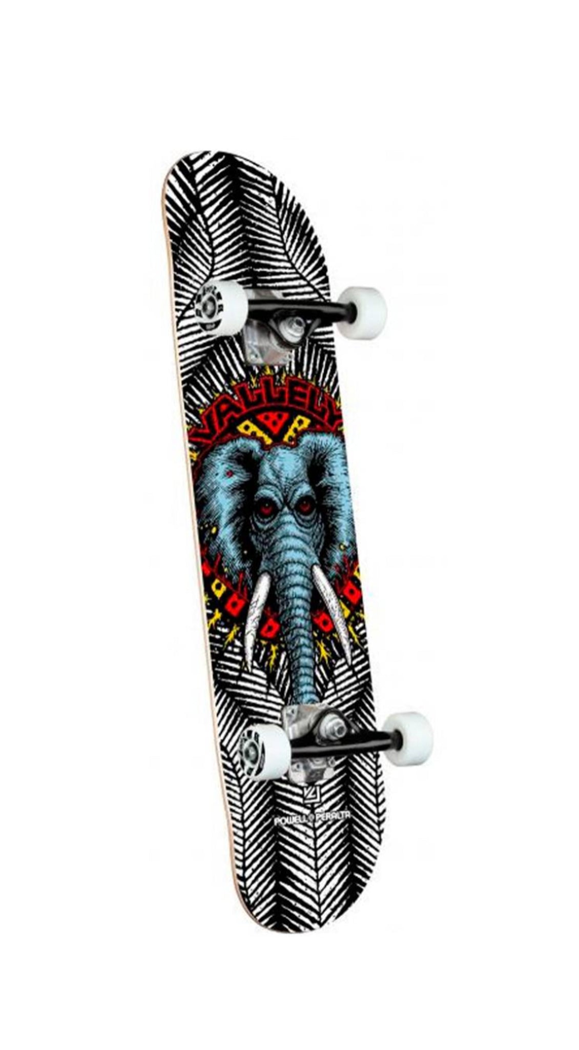 Powell Peralta Vallely Elephant Birch White 8.0 x 31.0 Completo - Completo