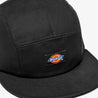 Dickies Albertville 5 Panel Cap - Gorra Ropa Dickies 